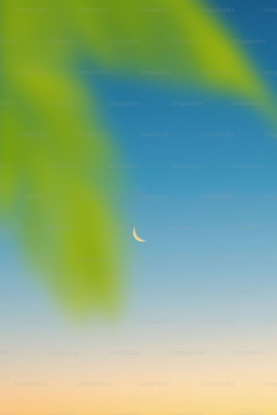 http://news.yule.com.cn/uploadfile/2025/0422/20250422110929562.jpg